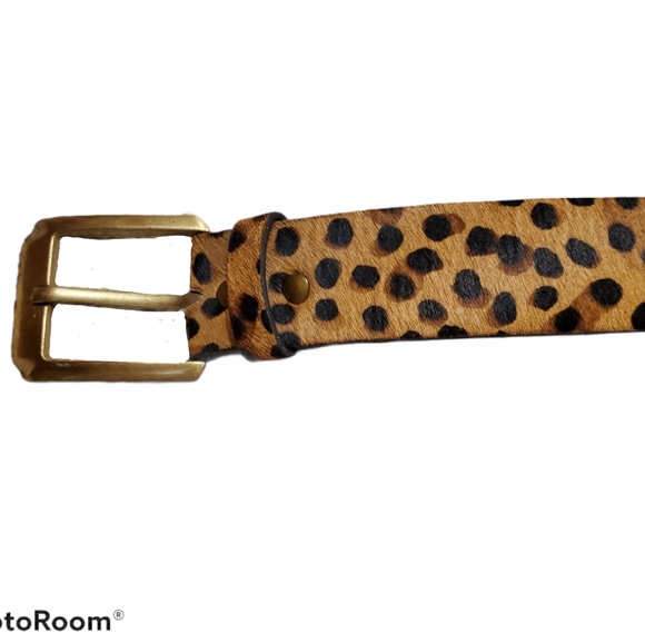 Filly Flair Leopard Belt - Picture 2 of 2